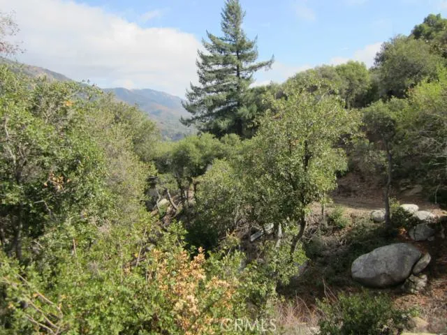 0 Burnt Mill Canyon Road, Cedarpines Park, California 92322 — photo 4