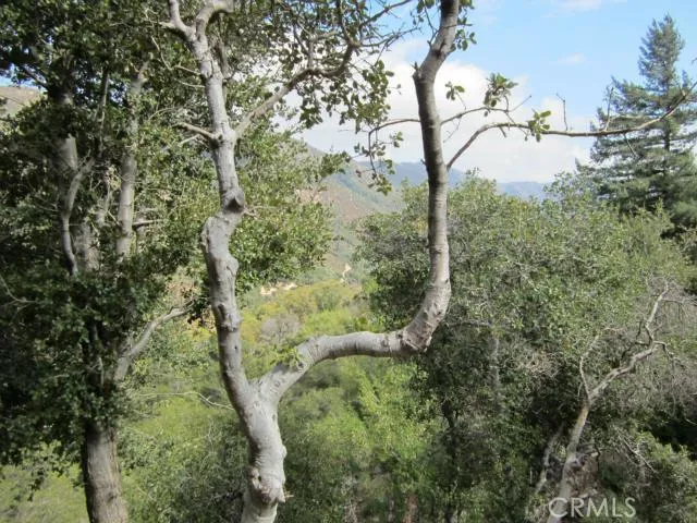 0 Burnt Mill Canyon Road, Cedarpines Park, California 92322 — photo 5