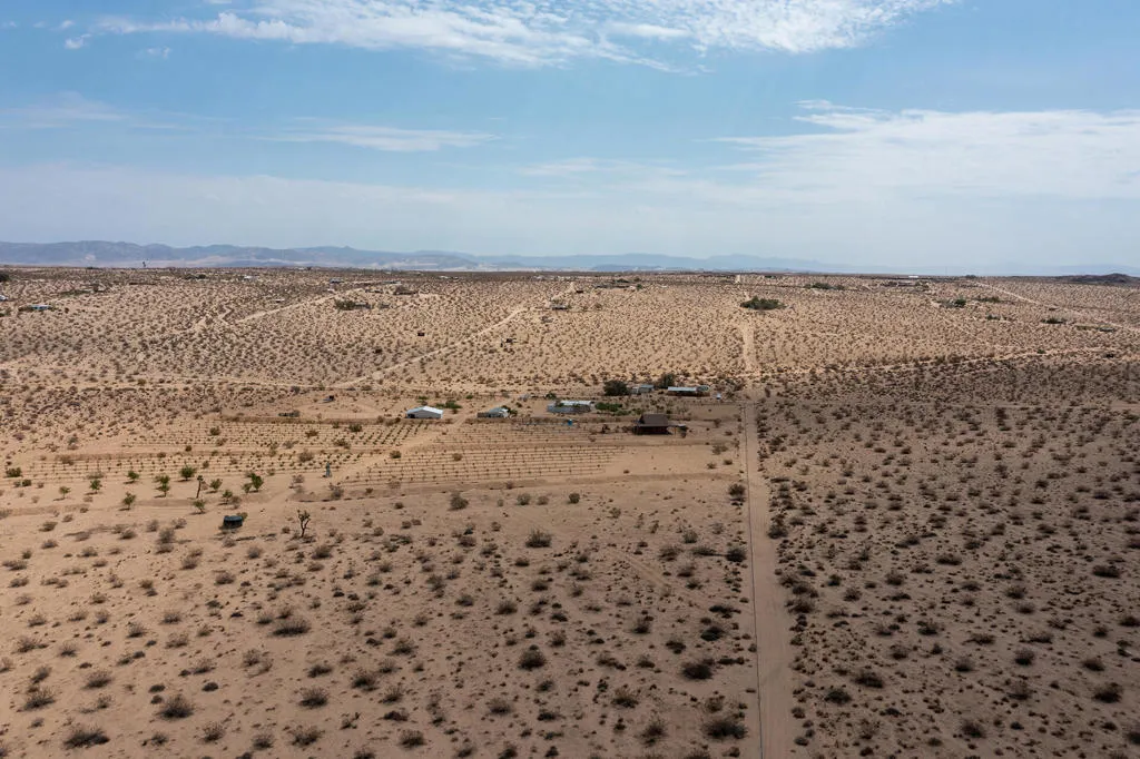 DJI_0279