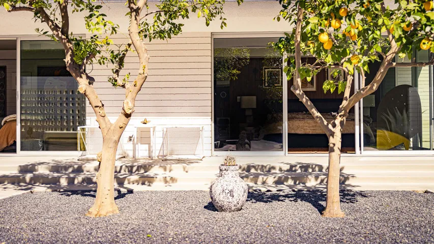 PalmDesertHouse_clw_-39