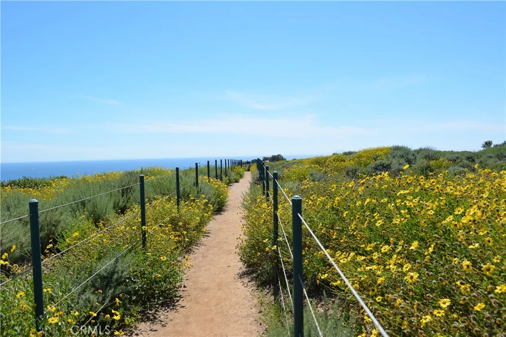 34381 Dana Strand Road, Dana Point, California 92629 home-pic-18