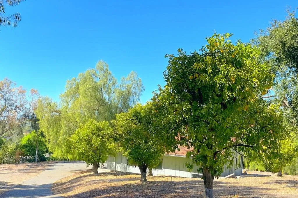 145 Yucca Road, Fallbrook, California 92028 home-pic-55