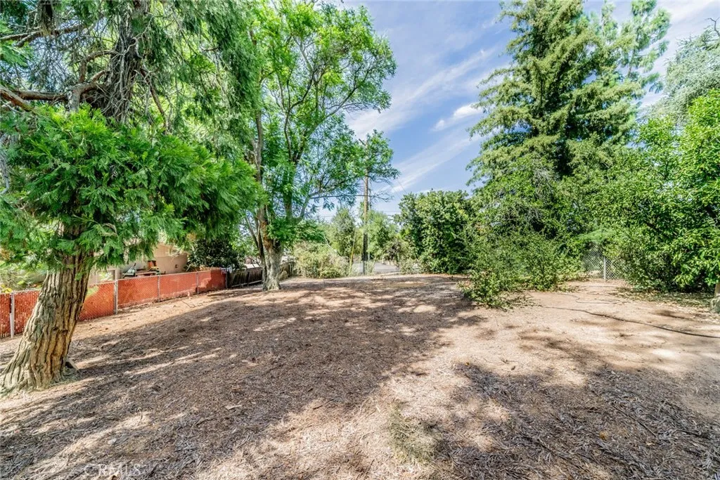 1037 W Sunset Drive, Redlands, California 92373 home-pic-17