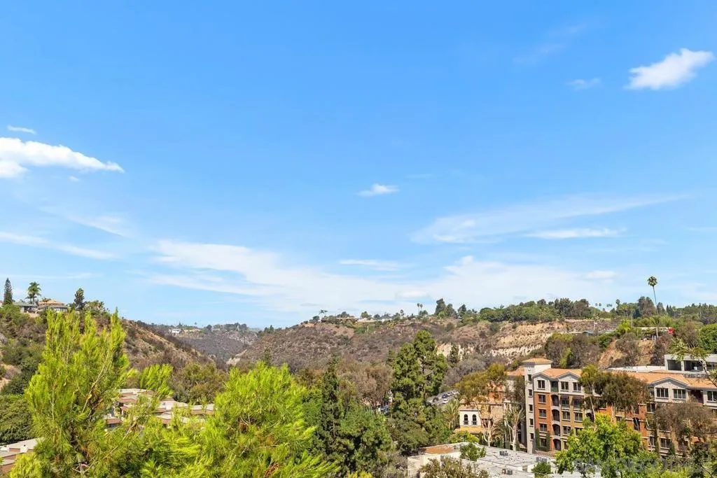 5228 Augustana Pl, San Diego, California 92115 home-pic-34