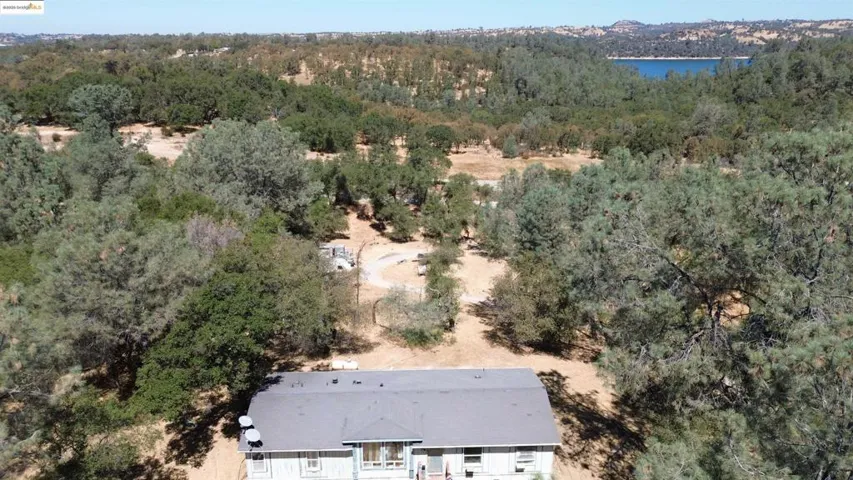 Aerial overview of property's location with a heavily wooded area and a nearby body of water