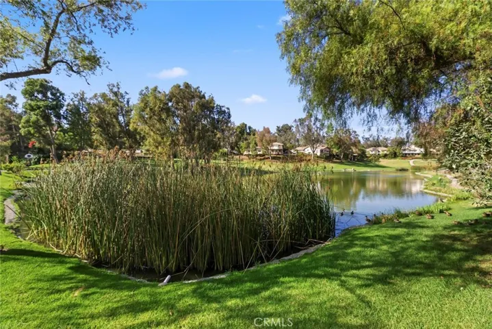653 N Buttonbush Trail, Orange, California 92869