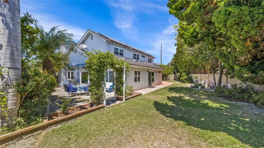 Back yard