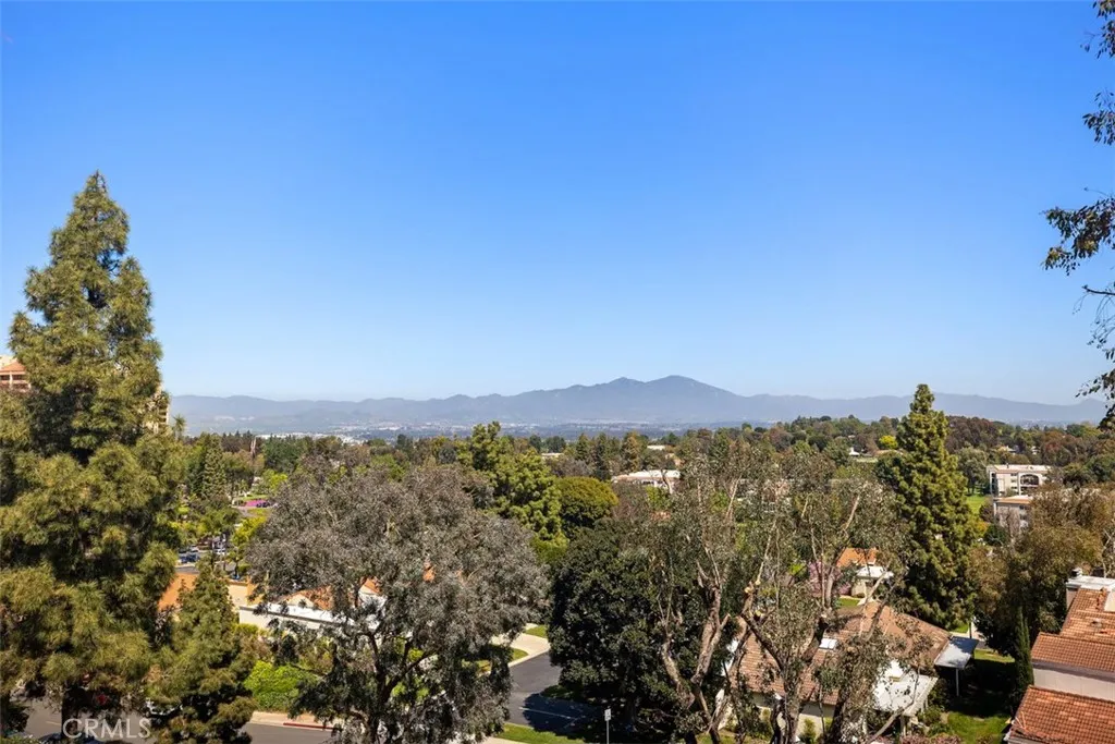 Living room window view