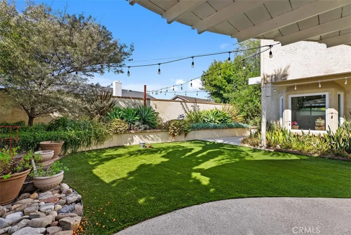 Low maintenance turf