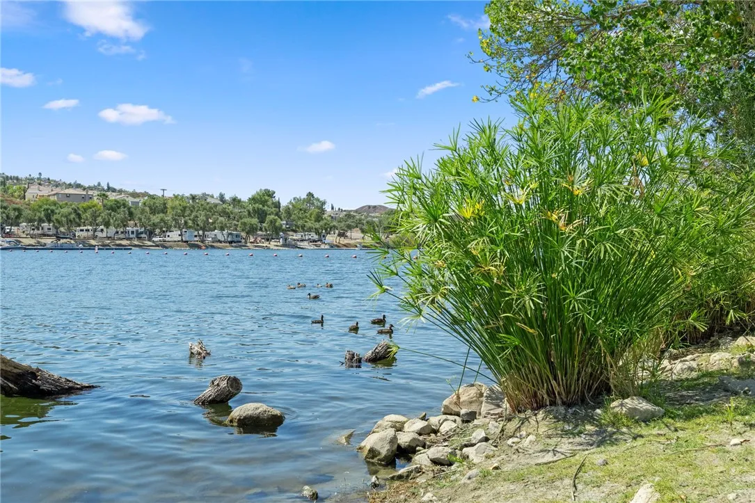 22001 Loch Lomond Drive, Canyon Lake, California 92587 home-pic-55