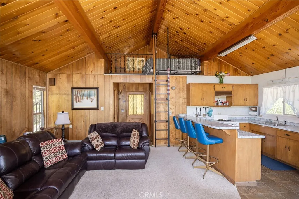 885 Menlo Drive, Big Bear Lake, California 92315 home-pic-12