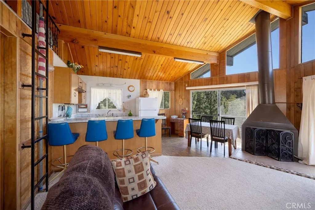 885 Menlo Drive, Big Bear Lake, California 92315 home-pic-9