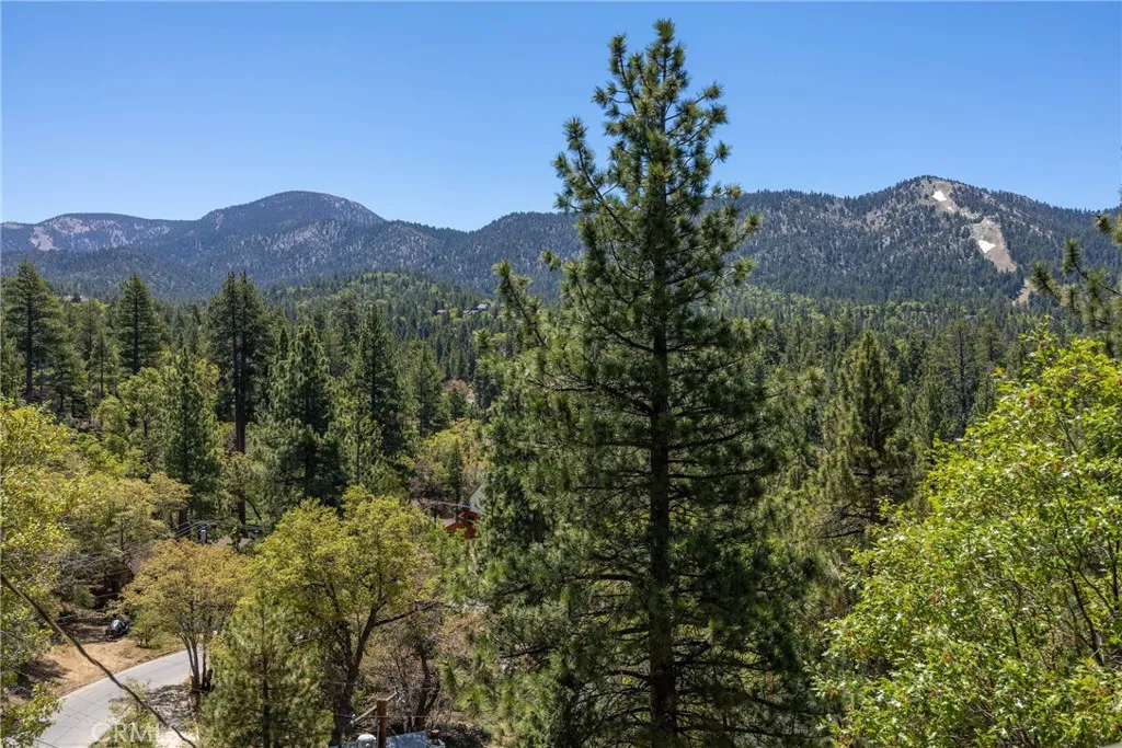 885 Menlo Drive, Big Bear Lake, California 92315 home-pic-8
