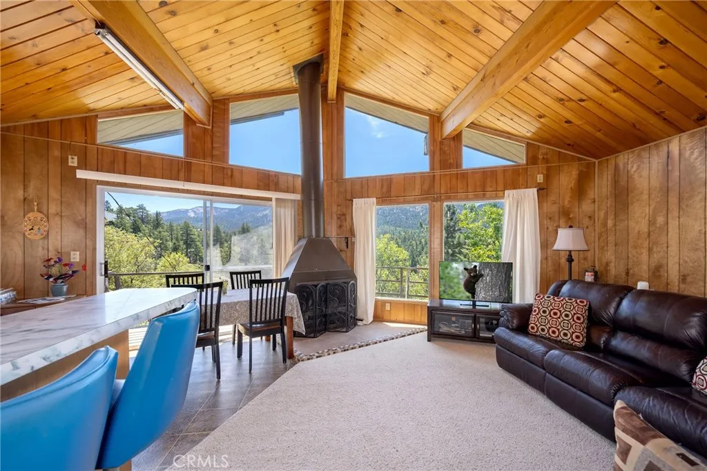 885 Menlo Drive, Big Bear Lake, California 92315 home-pic-10