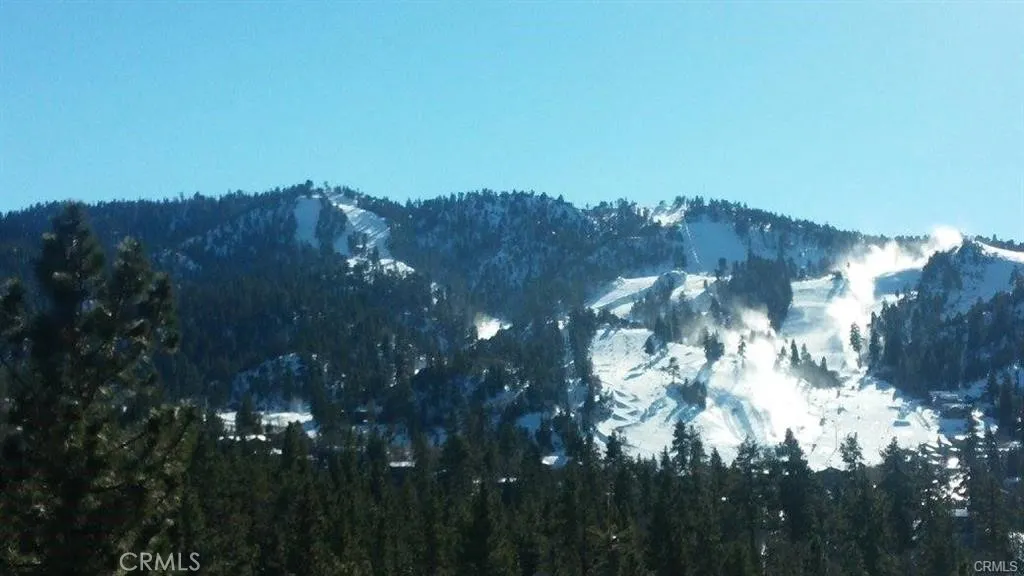 885 Menlo Drive, Big Bear Lake, California 92315 home-pic-24