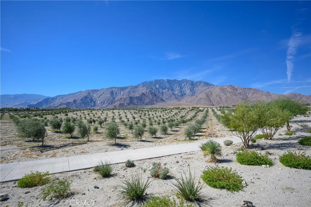 216 Mustang Lane, Palm Springs, California 92262 home-pic-17