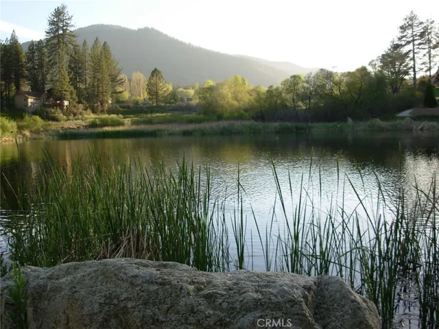 Walk to nearby fishing lake