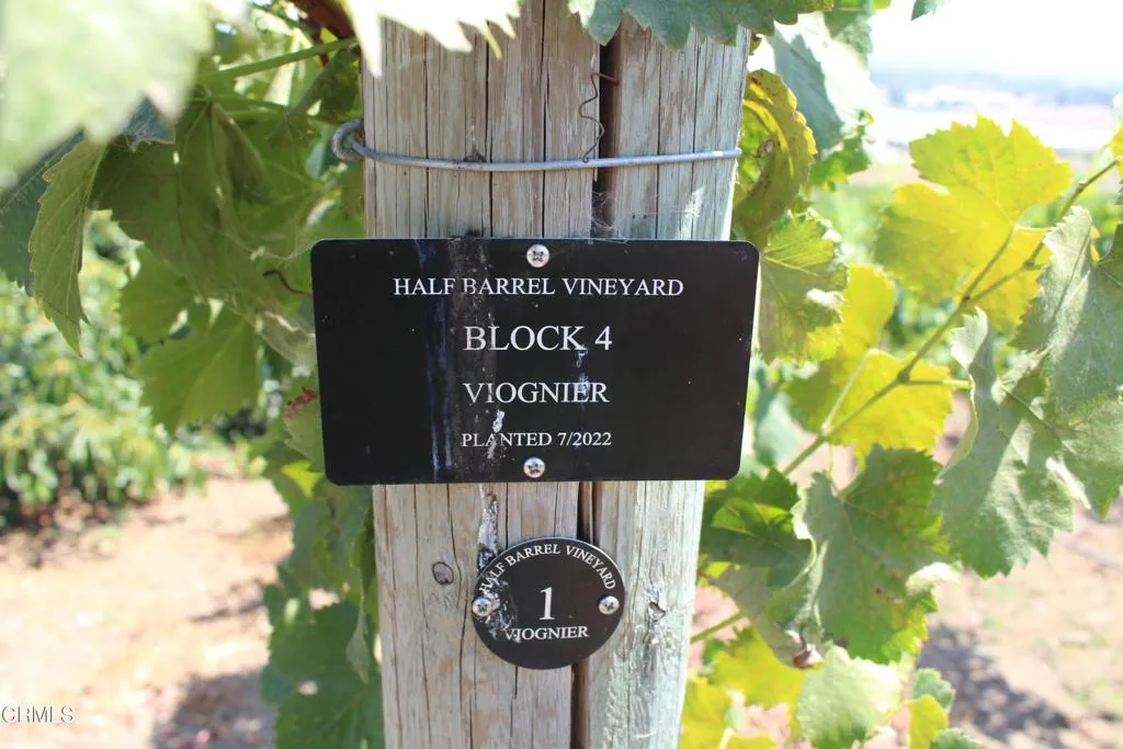 6150 Baja Vista Drive, Somis, California 93066 home-pic-56