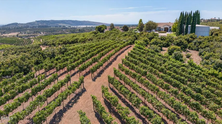 69-web-or-mls-010_Upmarketmedia_6150Baj-