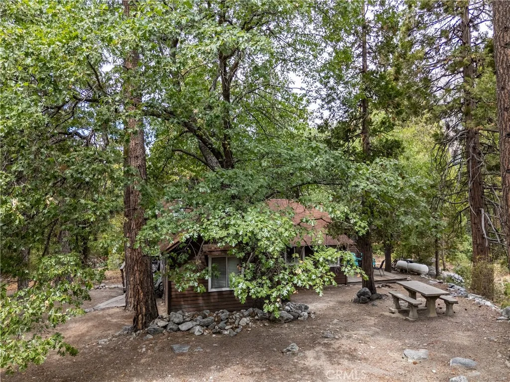 9165 Coffey Road, Forest Falls, California 92339 home-pic-26