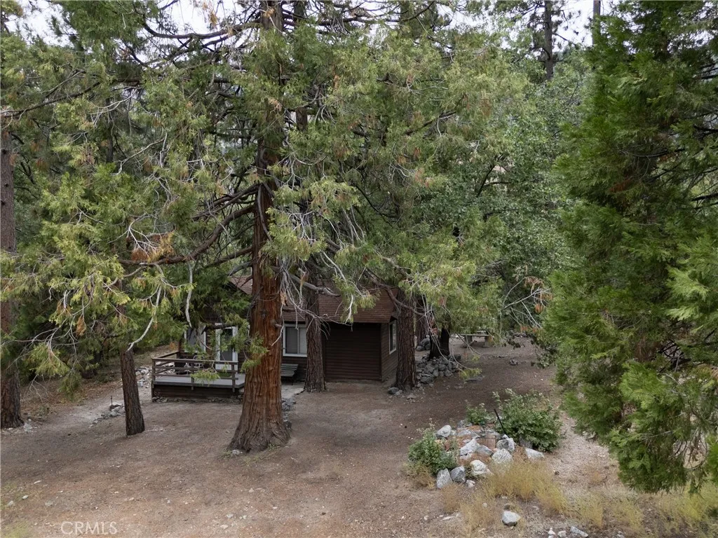 9165 Coffey Road, Forest Falls, California 92339 home-pic-1