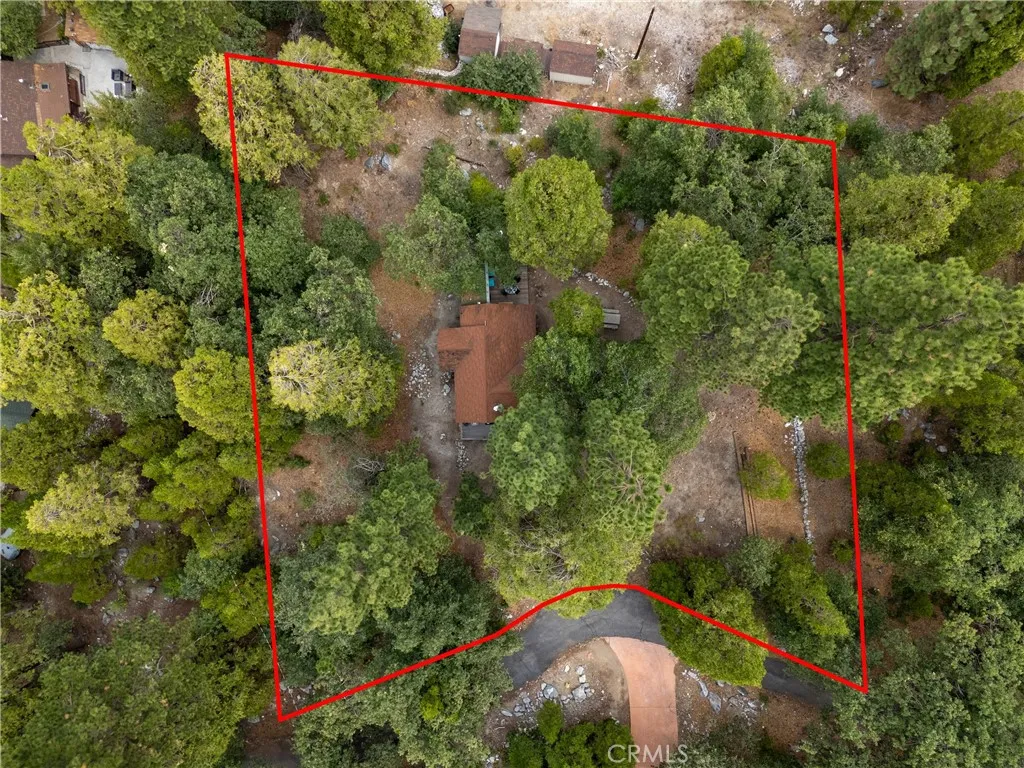 9165 Coffey Road, Forest Falls, California 92339 home-pic-6