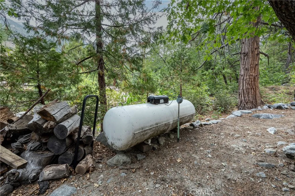 9165 Coffey Road, Forest Falls, California 92339 home-pic-28