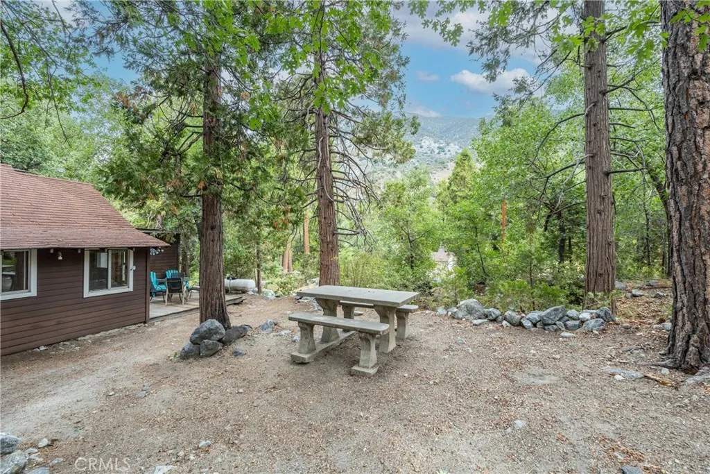 9165 Coffey Road, Forest Falls, California 92339 home-pic-3