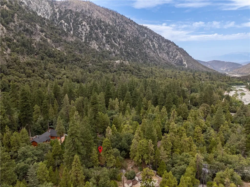 9165 Coffey Road, Forest Falls, California 92339 home-pic-23