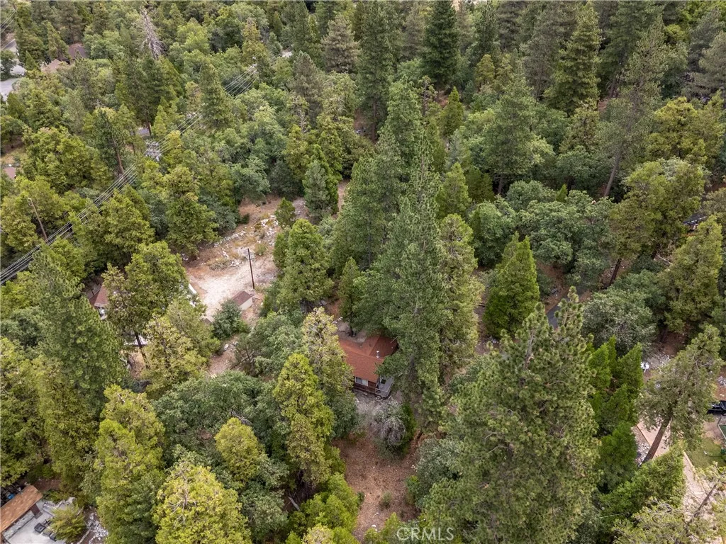 9165 Coffey Road, Forest Falls, California 92339 home-pic-25