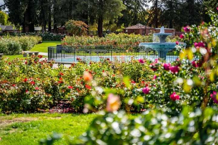 1190 Emory Street, San Jose, California 95126