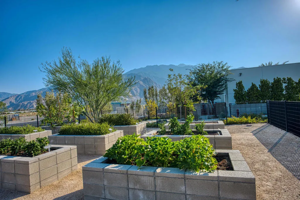 423 Fountain Drive, Palm Springs, California 92262 home-pic-45