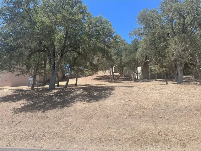 2434 Stern Deck Road, Bradley, California 93426 — photo 5