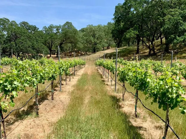 0 Hayes Lane, San Martin, California 95046