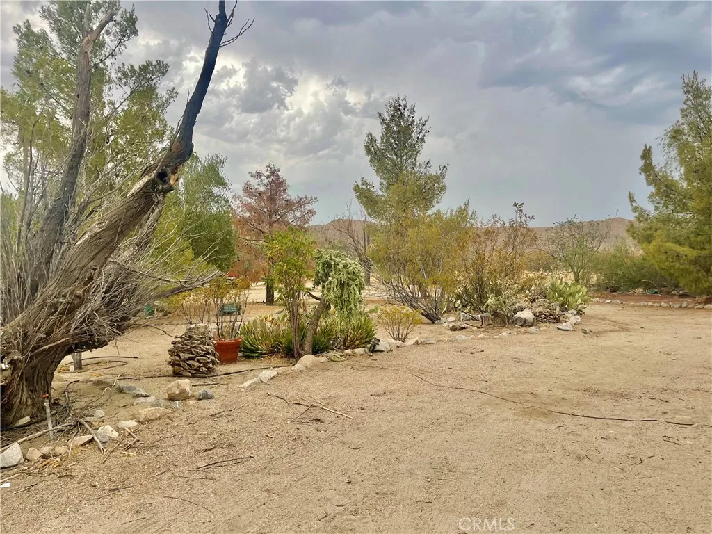 9260 Lanning Lane, Morongo Valley, California 92256 home-pic-21