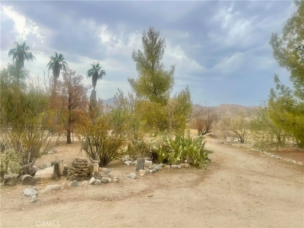 9260 Lanning Lane, Morongo Valley, California 92256 home-pic-23