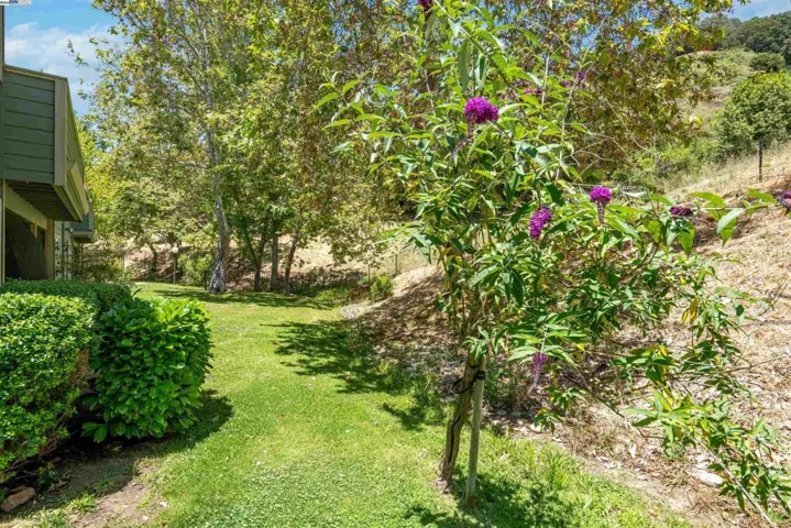 760 Canyon Oaks Dr, Oakland, California 94605