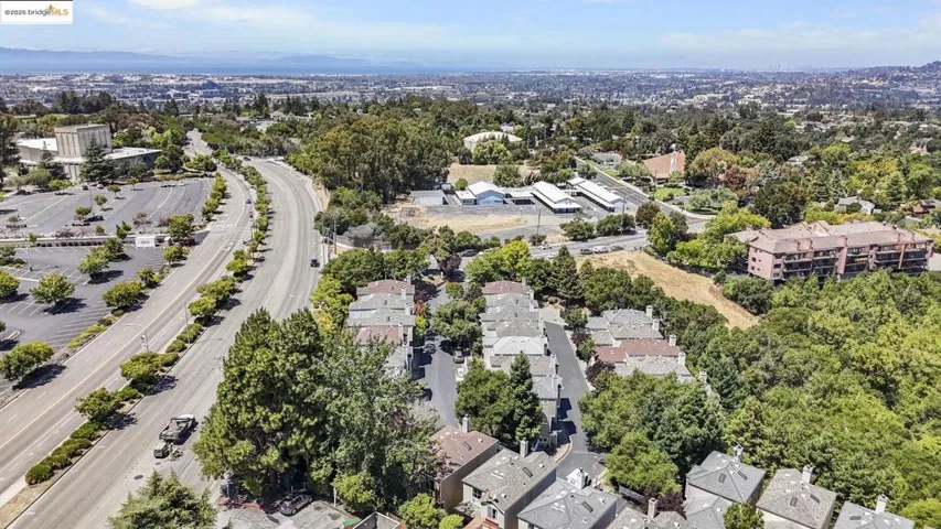 Aerial view of a tree filled landscape
