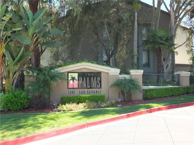 Welcome to The Palms!