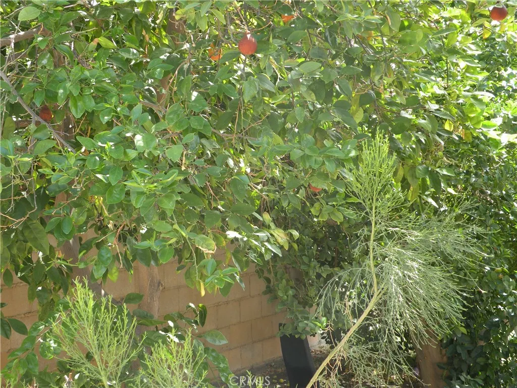 31810 Avenida La Gaviota, Cathedral City, California 92234 home-pic-23