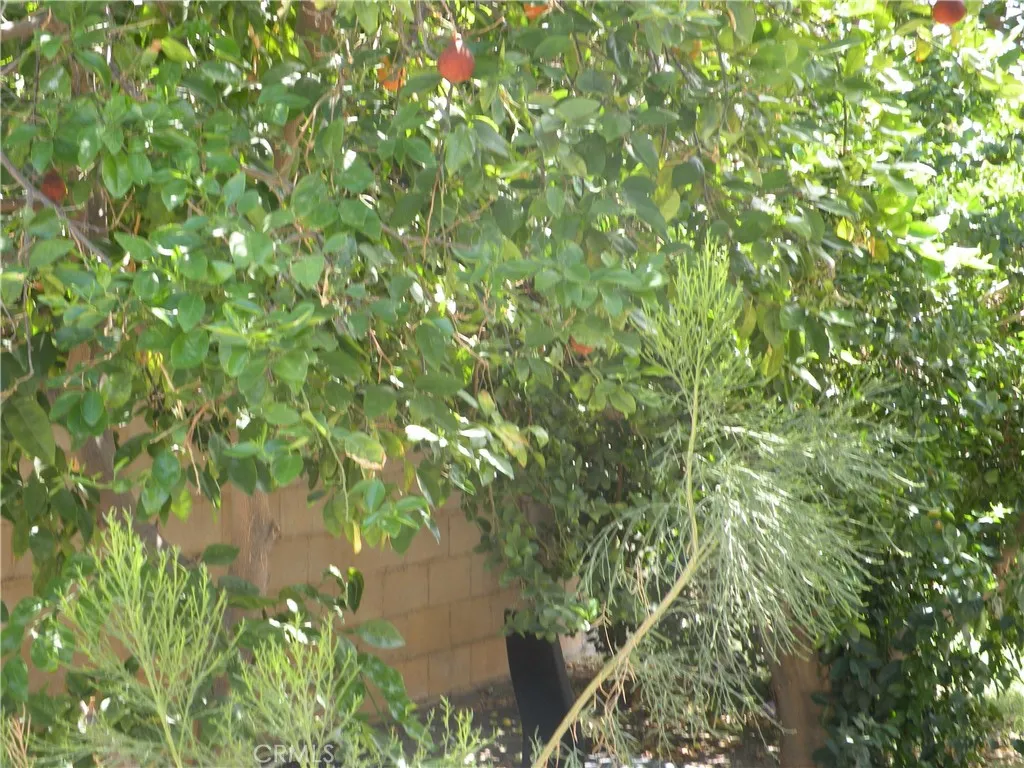 31810 Avenida La Gaviota, Cathedral City, California 92234 home-pic-24