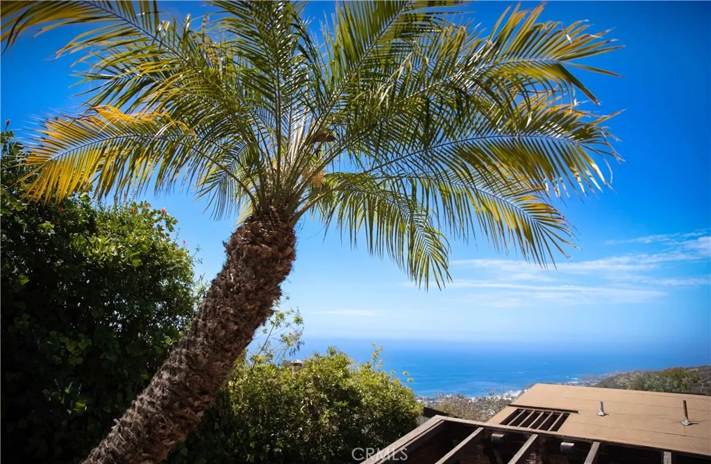 1969 San Remo Drive, Laguna Beach, California 92651 home-pic-45