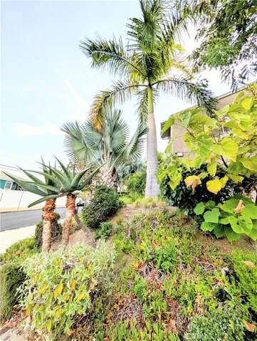 Landscaping around the community