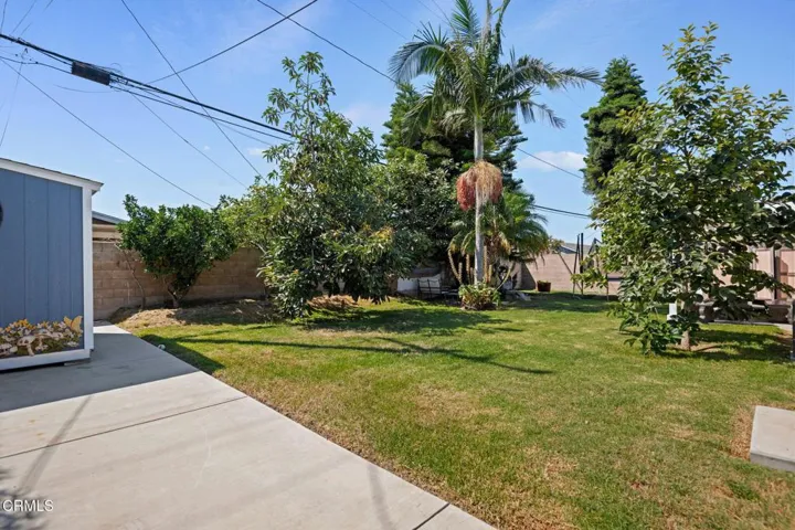 22 - Back Yard