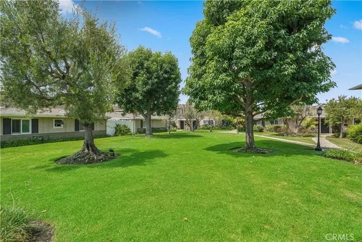 Central Open Space