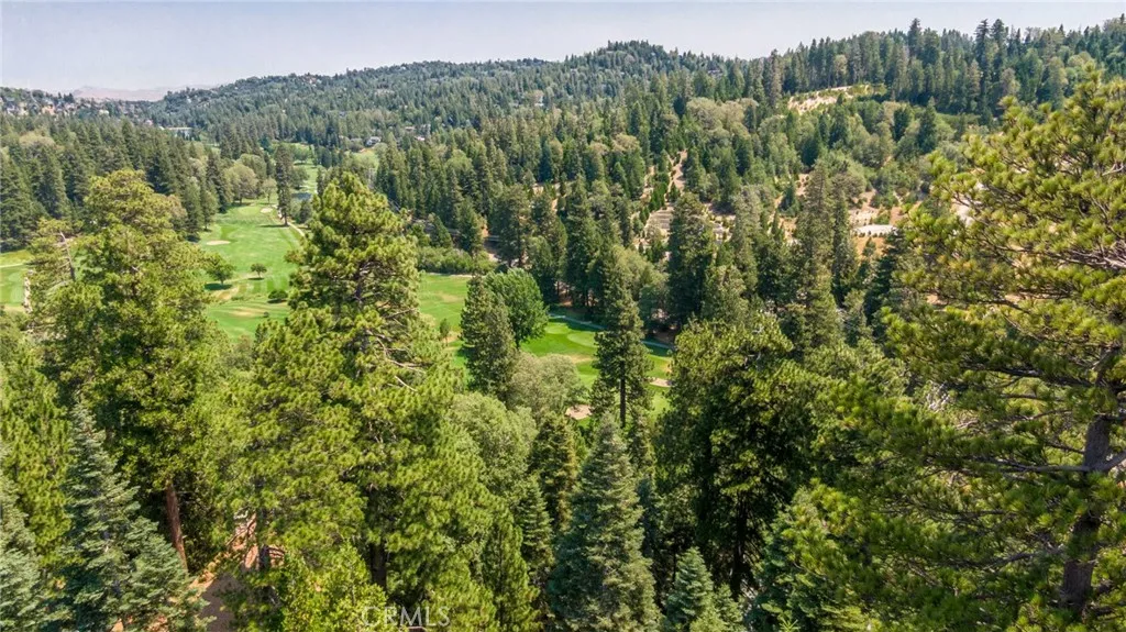 260 S Fairway Drive, Twin Peaks, California 92391 home-pic-5