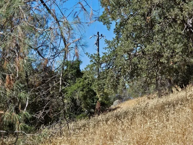 Power pole on Blue Oak Ridge viewed from near top of property.