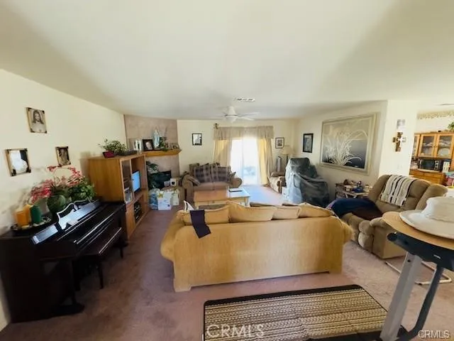 10117 E Avenue S2, Littlerock, California 93543 home-pic-10