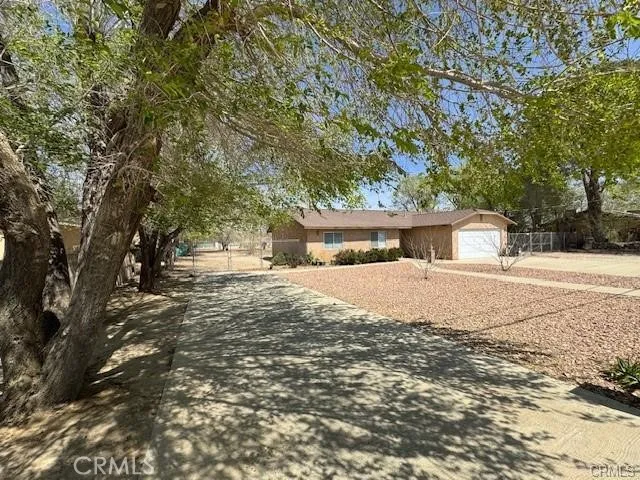 10117 E Avenue S2, Littlerock, California 93543 home-pic-4