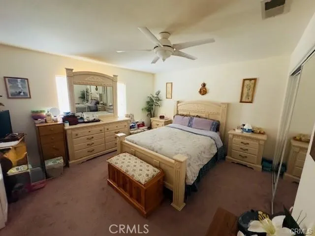 10117 E Avenue S2, Littlerock, California 93543 home-pic-22